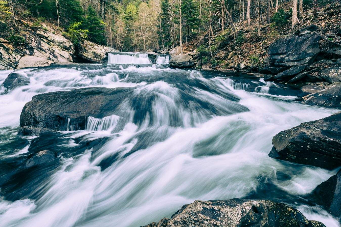 The Tellico River, East Tennessee. Photo credit: Patrick Jennings.